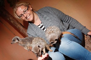 2 for 1 Meerkat Experience for Two at Hoo Zoo & Dinosaur World Image 2