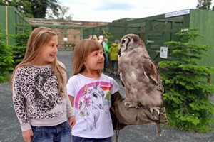 Entry to the Scottish Owl Centre for Two Adults and Two Children Image 2