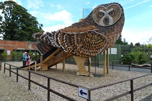 Entry to the Scottish Owl Centre for Two Adults and Two Children Image 3