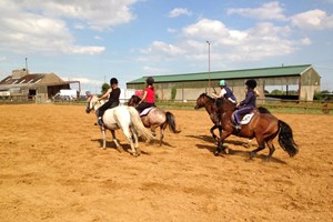 One Hour Horse Riding Experience   UK Wide