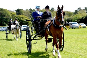 One Hour Horse Riding Experience for One - UK Wide Image 3