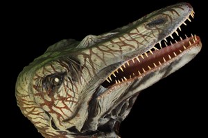 Family Entry to Dinosaurland Fossil Museum  picture