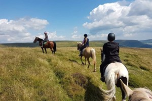 Half Day Pony Trek with Grange Trekking for One picture