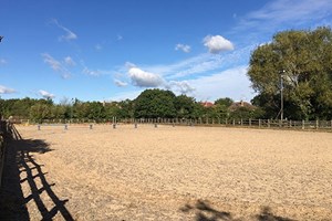 Horse Riding Experience day at Goulds Green Equestrian Activities Image 3