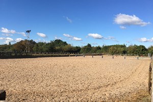 Horse Riding Experience day at Goulds Green Equestrian Activities Image 5