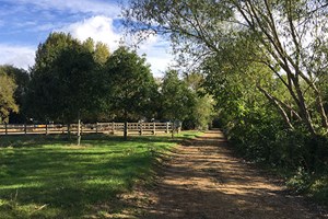 Horse Riding Experience day at Goulds Green Equestrian Activities Image 4