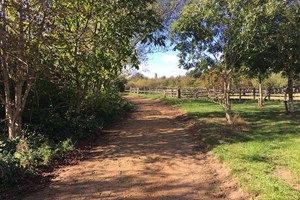 Horse Riding Experience day at Goulds Green Equestrian Activities Image 1