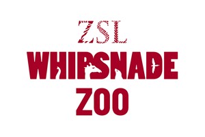 Entry to Whipsnade Zoo for One Child Image 4