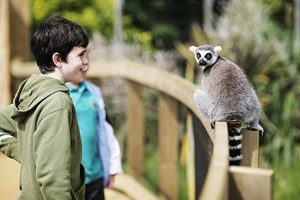 Entry to London Zoo for One Adult and One Child Image 3