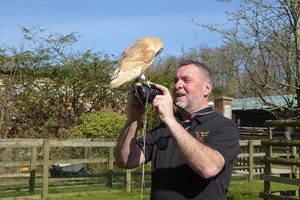 Three Hour Birds of Prey Experience for Two at Hawksflight Falconry Image 2