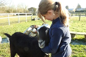 Farm Keepers Experience at Animal Rangers Image 2