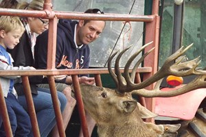 A Day on The Farm with a Deer Safari for Two Adults at Snettisham Park Image 1