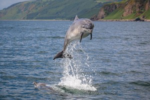 Meet the Animals Choice Voucher picture