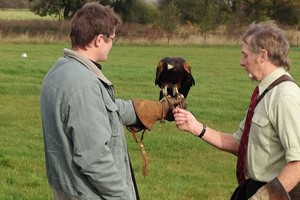 Three Hour Birds Of Prey Day For Two