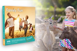 Family Fun Experience Box picture