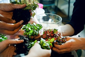 Terrarium Masterclass at Botanical Boys Image 3