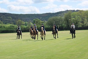 Introduction to Polo with Lunch for One at Taunton Vale Polo Club Image 2