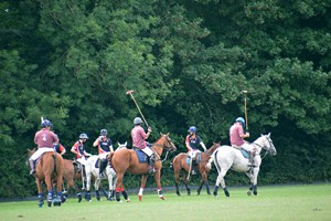 Introduction to Polo with Lunch for One at Taunton Vale Polo Club Image 3