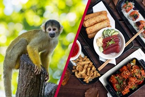 Click to view details and reviews for Zsl London Zoo Entry And Six Dish Sharing Menu With Dessert For Two At Inamo.