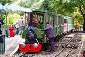 Click to view details and reviews for Family Steam Train Experience With North Bay Railway.