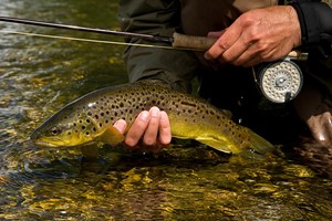 Introduction to Trout Fly Fishing Experience for One Image 4