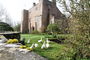 Bickleigh Castle, Grounds and Garden Tour with Cream Tea for Two Image 4