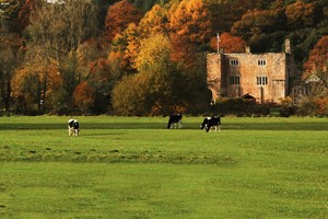 Bickleigh Castle, Grounds and Garden Tour with Cream Tea for Two Image 3