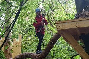 Tree Top Trials Entry to Explorer Course for One Adult and One Child Image 3