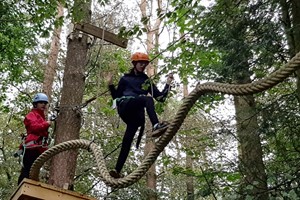 Tree Top Trials Entry to Explorer Course for One Adult and One Child Image 5