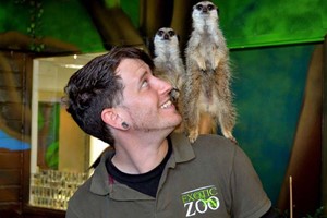 Exotic Zoo Entry and a 30 Minute Meerkat Experience for Two Image 2