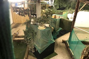 One Hour Laser Combat for Two Adults and Two Children and Soft Drink Each at Black Hawk Laser Games picture