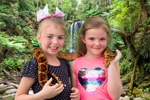 30 Minute Reptile Encounter at The Reptile Academy for Two Adults and Two Children Image 2