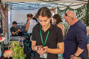 30 Minute Reptile Encounter at The Reptile Academy for Two Adults and Two Children Image 3