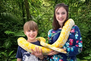 One Hour Reptile Experience for Two Adults and Two Children at The Reptile Academy Image 3