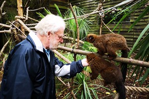 Shaldon Wildlife Trust Zoo Entry with Lemur Liaison and Meerkat Meet for Two Image 5