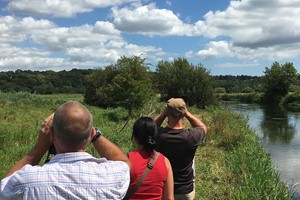 A Private Wildlife Tour for Two with The Bird Whisperer Image 4