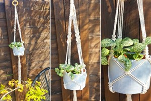 Macrame Plant Hanger Workshop for Two with Craft My Day Image 1