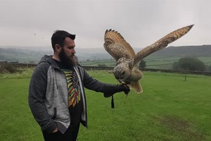 Birds of Prey Experience for One at SMJ Falconry Image 4