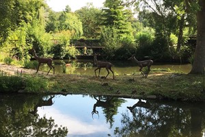 Entry for Two Adults to Beale Wildlife Park and Gardens Image 4