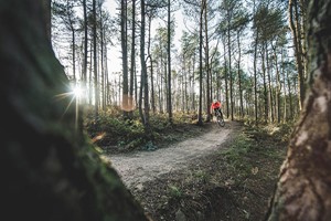 Mountain Biking Taster Day for One Image 3