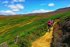 Mountain Biking Taster Day for One Image 2