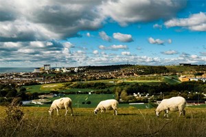 Yoga and Nature Retreat for Two with BrightonYoga Image 4