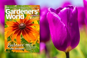 12 Month BBC Gardeners' World Magazine Subscription  picture