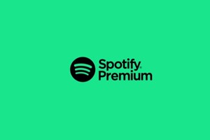 Six Month Spotify Premium Subscription picture