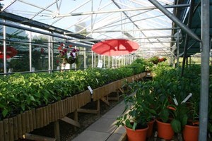 Chilli Tour and Tasting for Two picture