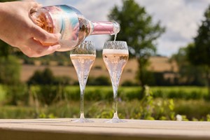 Estate Tour for Two at Wildshark Vineyard picture