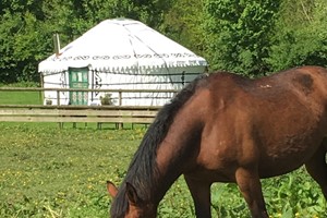 Two Night Summer Yurt Getaway in Devon for Two picture