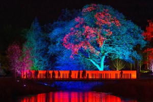 Glow Entrance for Two Adults and Two Children at RHS Bridgewater picture