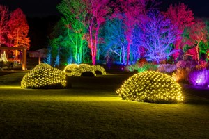Glow Entrance for Two at RHS Bridgewater picture