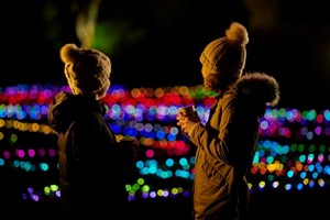 Glow Entrance for Two Adults and Two Children at RHS Harlow Carr picture